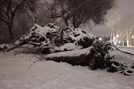 «Территория завалена кучами мусора»: жители Заводского района обратились к мэру с вопросами по поводу скандального сквера на Прессовой