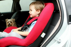 Владимир Путин подписал закон о резком повышении штрафов за неправильную перевозку детей