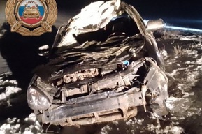 «Лада Приора» разбилась, врезавшись в лошадь