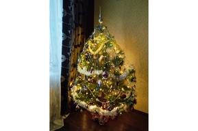 Стало известно, сколько саратовцев имитируют новогоднее настроение