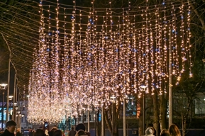 Стало известно, какая погода ждёт саратовцев на Новый год