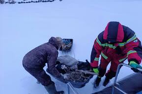 Спасатели сняли со льдины двух уплывших мужчин