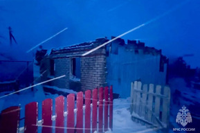 На пожаре в частном доме погибла пожилая супружеская пара, их немолодой сын смог спастись