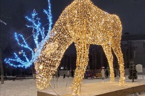 Житель Саратова надеялся бесплатно приобрести светящегося оленя, но наткнулся на мошенников 