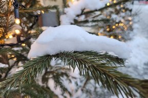 На Рождество может похолодать до -16