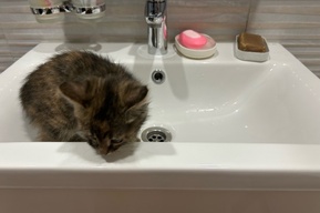 Жители Ленинского района остались без воды: адреса