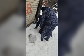 Росгвардейцы сообщили о спасении пенсионера, который неудачно сходил за покупками к столу