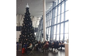 Из-за непогоды в саратовском аэропорту посадили три самолёта, летевших в Волгоград