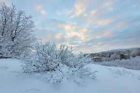 В Саратовской области обещают сильный снег (в отдельных районах пройдет переохлажденный дождь)
