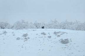 Гидрометцентр: высота снега в Саратове составляет 44 сантиметра, почти половина выпала за ночь