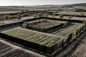 «Пока лежала в больнице после ДТП, на её участке кто-то начал строить дом»: юрист рассказала о том, как из-за подозрительной нерасторопности мэрии Саратова люди лишаются земли, а бюджет — денег