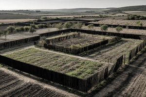 «Пока лежала в больнице после ДТП, на её участке кто-то начал строить дом»: юрист рассказала о том, как из-за подозрительной нерасторопности мэрии Саратова люди лишаются земли, а бюджет — денег