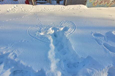Морозы в Саратовской области: температура воздуха опустится до -32