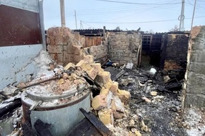 ЧП в Гагаринском районе: лошадь и свиньи погибли в огне