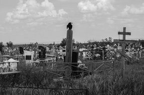 В Саратове похоронное агентство хочет отсудить 21 миллион из «дырявого» городского бюджета