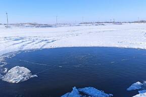 В пруду нашли тело утонувшего мужчины