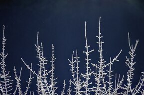 Морозы в Саратовской области: столбик термометра опустится до -32