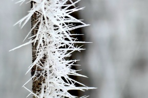 В двух заволжских районах занятия в школах частично отменили из-за морозов