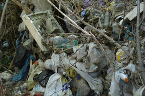 В одном из районов Саратова должны ликвидировать больше 300 несанкционированных свалок