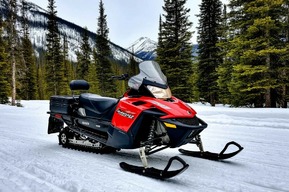 Саратовец поехал в Вологду за снегоходом и пострадал от преступного коварства в дороге