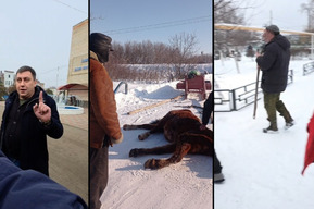 «Тут рабский труд, насильники… и лошадь сдохла»: рассказываем, что происходит в саратовском интернате, который сравнивают с прогремевшим на всю страну ОТБ-1