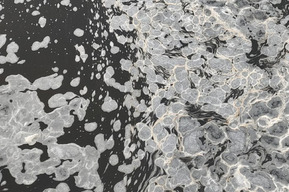 На Волге можно было наблюдать необычные льдинки, похожие на пятна жирафа