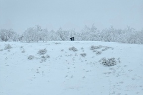Толщина снега в одном из районов области доходит до 80 сантиметров