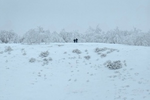 Толщина снега в одном из районов области доходит до 80 сантиметров