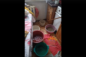 Жители дома в Солнечном пострадали от потопа и заявляют о «бездействии УК»