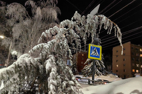 Аномальные морозы: столбики термометров в Саратовской области опустятся до -30 градусов 