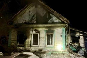 На пожаре в Татищево погибли кошки, попугай и шиншилла 