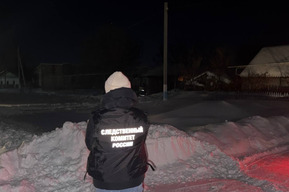 На пожаре в сельском доме погиб мужчина