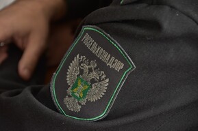 Ветеринарные нарушения, небезопасность для посетителей: В Саратовской области наказали предпринимателей, державших животных ради развлечений