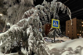 Морозы в Саратовской области сменятся на выходных небольшим потеплением со снегопадом