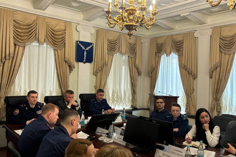 «И тут, после одной фразы Серебрякова, я поняла: нет, конструктивно не получается». Рассказываем, что происходило на засекреченном мэрией Саратова совещании по проблемам многодетных