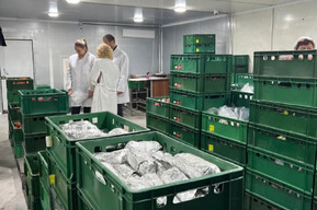 На мясоперерабатывающем предприятии в Саратове нашли нарушения: какие