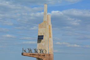 В подвале балаковской школы замуровали кошек с котятами: комментарий чиновников