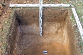 Курганы и поселение бронзовой эпохи: археолог нашла в Саратовской области пять новых памятников