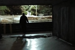 Мрачное состояние перехода на Вишнёвой вновь возмутило саратовцев