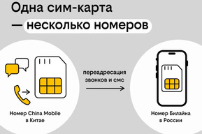Китайский номер без перелётов: как купить в России, а зарегистрировать онлайн