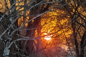 До 19 градусов мороза: синоптик рассказала, какой в Саратовской области будет последняя неделя зимы