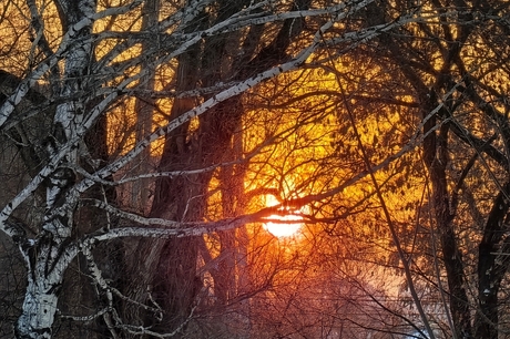 До 19 градусов мороза: синоптик рассказала, какой в Саратовской области будет последняя неделя зимы