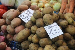 Минсельхоз региона выделяет производителям картофеля всего 0,04 процента в качестве поддержки (продукт продолжает дорожать)