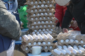 В Саратовской области в январе на 30% упало производство мяса, зато молока и яиц стало больше