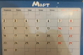 Штраф за сорняки, новые правила обучения на права, единый срок оплаты ЖКУ: какие изменения ждут россиян в марте