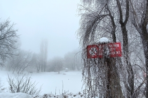 Снег, морось и порывы ветра: в Саратовской области ожидается неблагоприятная погода