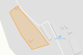 Фонд помощи бездомным животным намерен отсудить у мэрии Саратова здание размером с «будку»