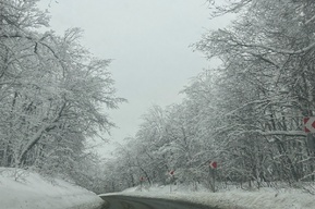 В длинные выходные саратовцев ждут температурные качели от +1 до -20, снегопады и порывистый ветер 