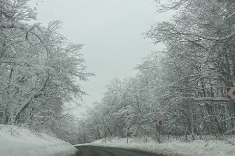 В длинные выходные саратовцев ждут температурные качели от плюс 1 до минус 20, снегопады и порывистый ветер 