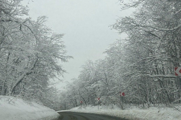 В длинные выходные саратовцев ждут температурные качели от плюс 1 до минус 20, снегопады и порывистый ветер 